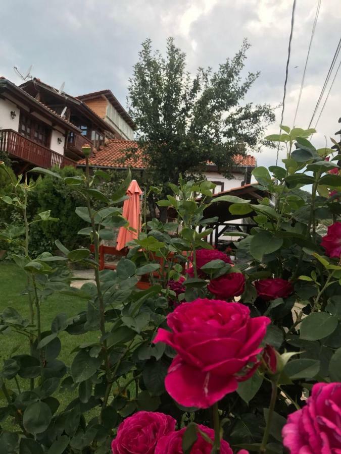 Sharkov Guest House Dolen  Buitenkant foto